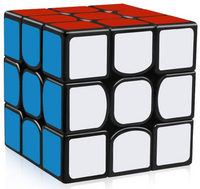 
              Professorterning 3x3 - YJ GuanLong
            